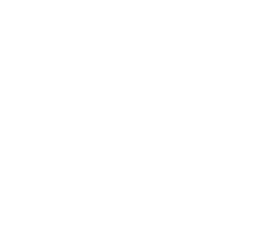 logo anna
